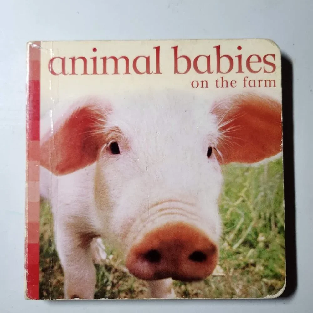 Scholastic baby toddler